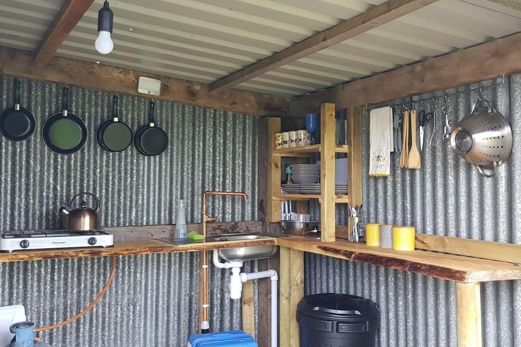Hotel Bronfelen Yurt Cynghordy Exterior foto